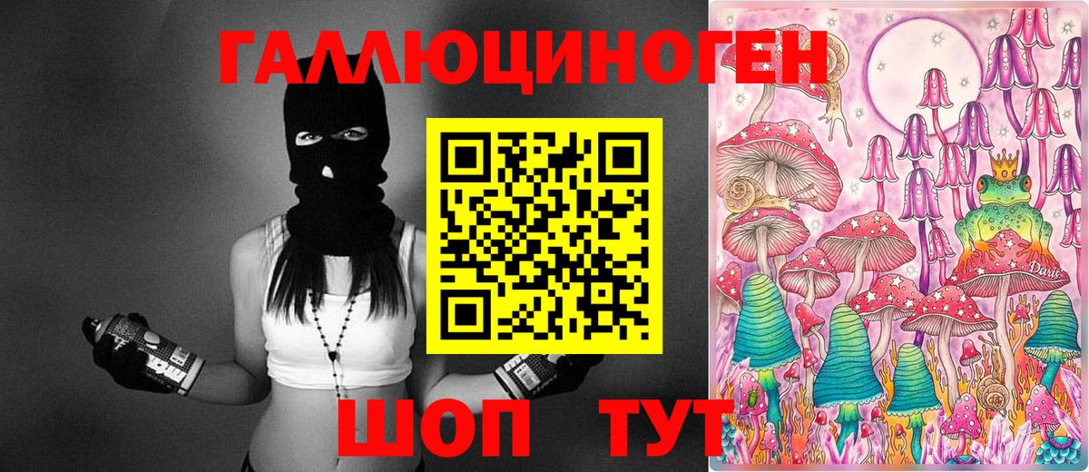 Галлюциногенные грибы Cubensis Луга