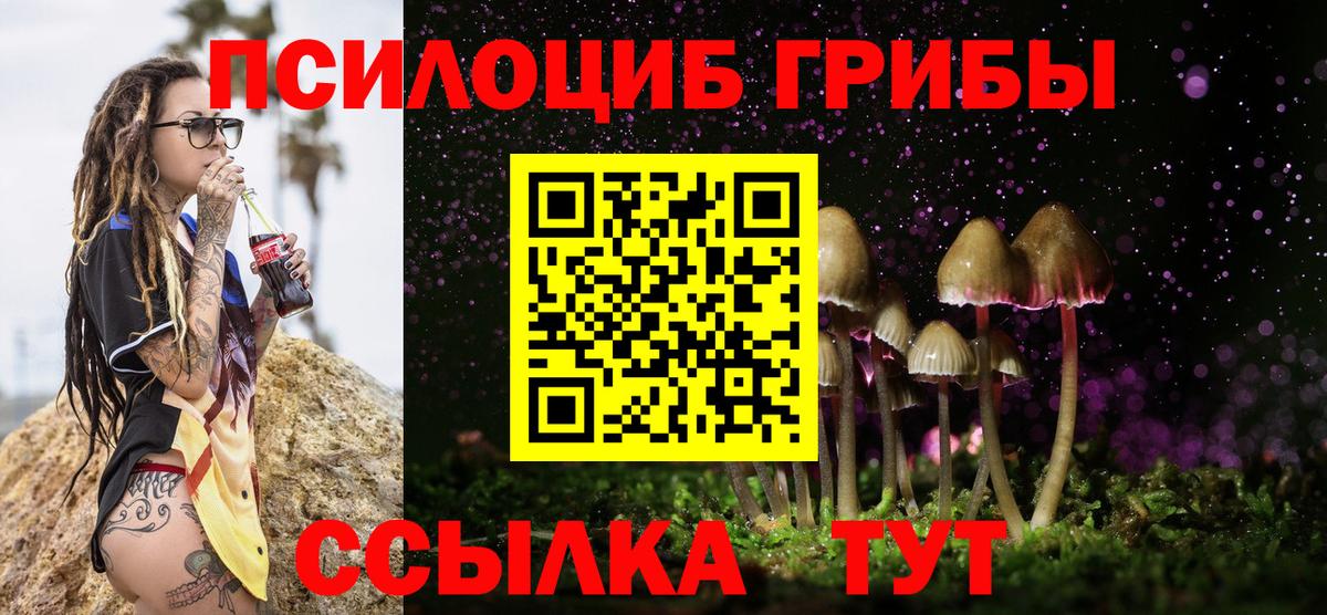 Луга  Галлюциногенные грибы ЛСД  купить закладку  Вход с VPN 